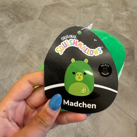 Madchen the lime capybara - Picture 2 of 3